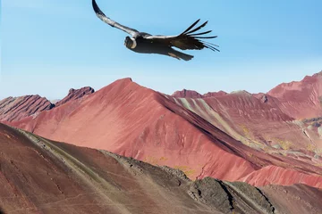 Papier Peint photo autocollant Vinicunca Condor over Rainbow hills