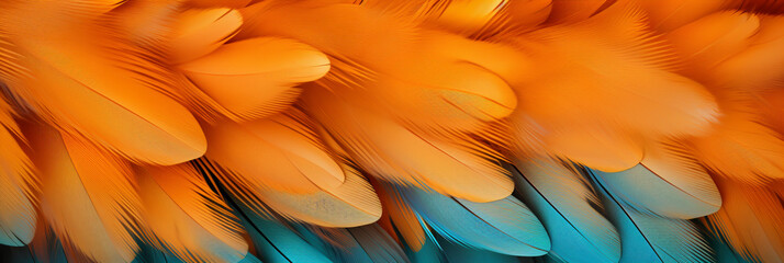 BEAUTIFUL, BRIGHT, GRACEFUL BACKGROUND OF COLORFUL BIRD PLUMES FOR YOUR DESIGN, legal AI
