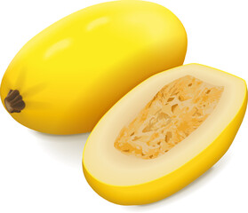 Whole and half of Orangetti Spaghetti Squash. Winter squash. Cucurbita pepo. Fruits and vegetables. Isolated vector illustration.