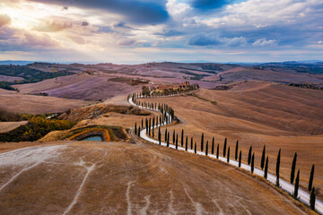 Hills, olive gardens and small vineyard under rays of morning sun, Italy, Tuscany. Famous Tuscany...