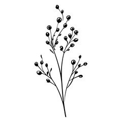 plants, leaves. Hand drawn decorative elements.
