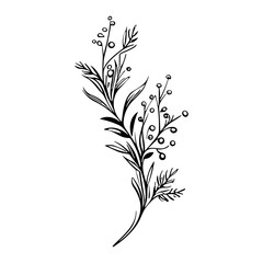 plants, leaves. Hand drawn decorative elements.
