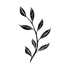 plants, leaves. Hand drawn decorative elements.
