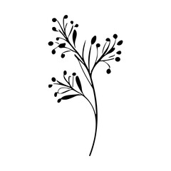 plants, leaves. Hand drawn decorative elements.
