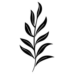 plants, leaves. Hand drawn decorative elements.
