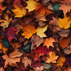 Autumn leaves seamless pattern  - 657144570
