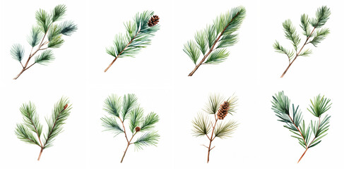 Fir tree watercolor illustration set. generative Ai