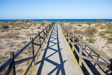 Puente de madera hacia la playa