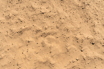 The desert ground with small stones in the summer sun in Sahara desert.