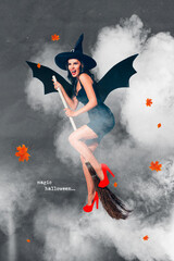 Collage artwork picture of sexy lady wear witch halloween costume flying broom isolated creative...