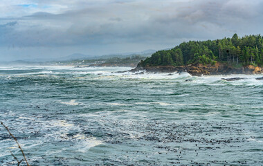 Oregon Boiler Bay Scene 4