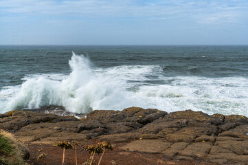 Oregon Boiler Bay Scene 6