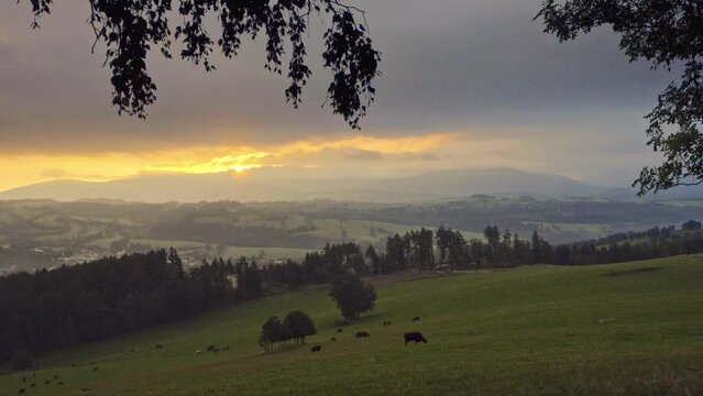 Sonnenaufgang: Faszinierende, beeindruckende Landschaft im Gebirge. Der Blick gleitet &uuml;ber T&auml;ler, Berge am Horizont, Wiesen mit K&uuml;hen und ihren K&auml;lbern. Langsam l&ouml;st sich der Nebel in den T&auml;lern auf.
