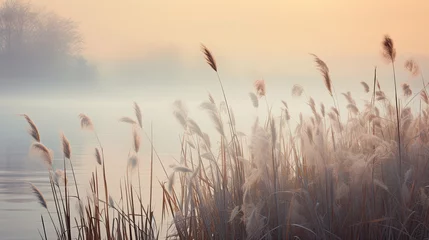 Raamstickers Beautiful serene nature scene with river reeds fog and water © Ziyan Yang