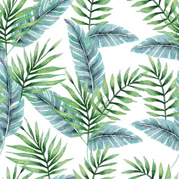 Tropical botany palm leaves watercolor drawing seamless pattern. Jungle exotic paradise leaf background