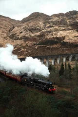 Foto op Plexiglas Glenfinnanviaduct Tren de vapor pasando por un acueducto en Escocia. Paisaje de película Harry Potter. Tren Jacobita. Glenfinnan