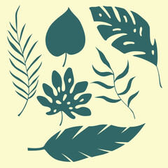 Tropical Leaves Vector Set
