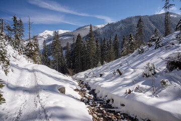 Winter scenery of the Western Tatra Mountains. Chocholowska glade area.