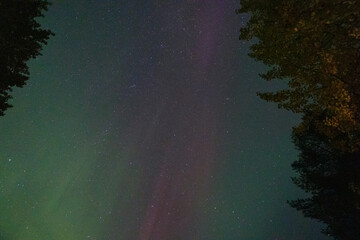Aurora in Schweden 
