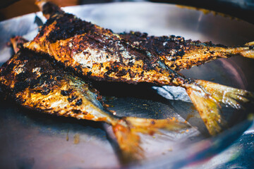 Fried mackerel fish on the plate. Close up.