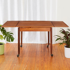 Vintage draw-leaf dining table. Teak Mid-Century Modern Furniture. Interior photograph with...