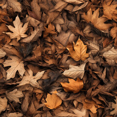 Dried autumn leaves repeating pattern - 657185595