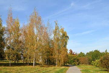 Golden autumn. Picturesque Mitino Nature-Landscape Park landscape. Moscow, Russia