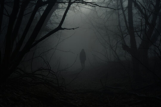 Horror, fantasy, mystery and landscape concept. Dark human or ghost silhouette standing in dark forest. Dense forest covered with mist or fog. Dark tree trunks in background. Generative AI