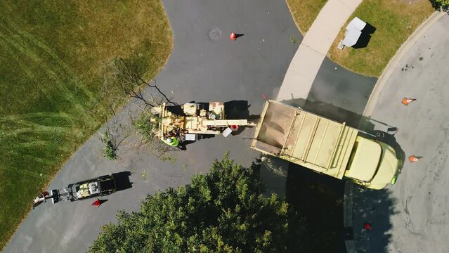 Aerial view of Maintenance worker loading cut tree branches into the wood chipper machine for shredding