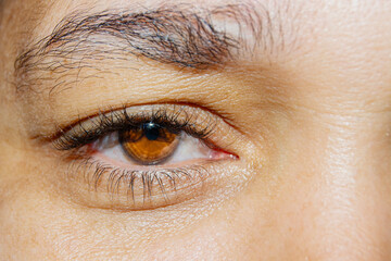 ojo de mujer de color marrón 