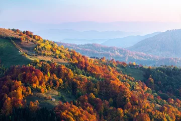 Poster Fall scenery. Landscape with orange, red, green forest. Sun rays enlighten the meadow with trees. Landscape with high mountains. © Vitalii_Mamchuk
