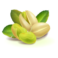 green almond  on white