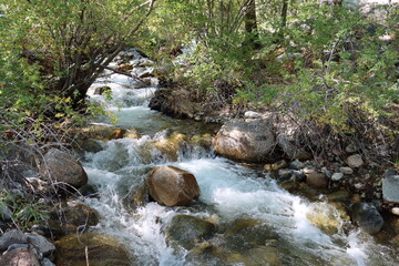 Late summer rains increase flowing cascades of this charismatic creek in the Eastern Sierra Nevada.