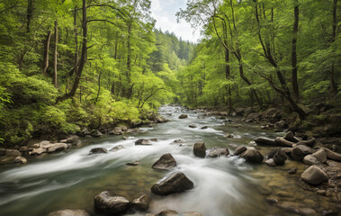 Obraz premium mountain river in the forest