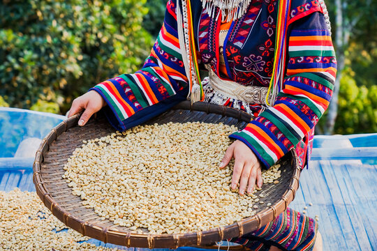 Coffee beans that have been polished.