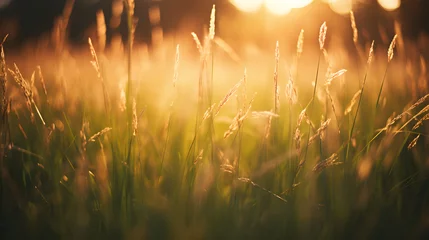 Deurstickers grass  © Thomas