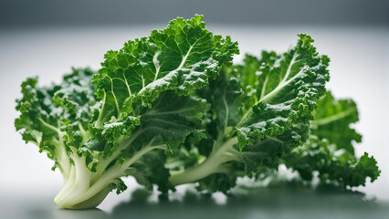Plant of kale lies on a white background. 