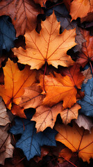 Naklejka na ściany i meble Close-up of vibrant autumn leaves, a detailed seasonal masterpiece