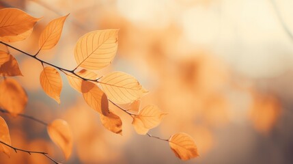Naklejka na ściany i meble Soft focus autumn leaves in warm hues