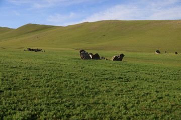 Deer stone monuments and square graves of Temeen Chuluu, Mongolia