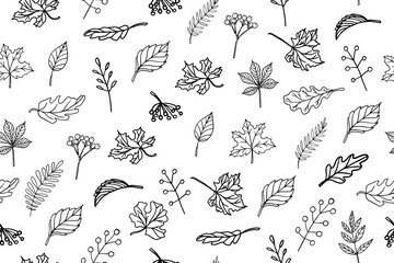 Seamless pattern of autumn leaves. Falling leaves. Maple leaf, oak leaf, rowan leaf, ash leaf,chestnut leaf,birch leaf Good for textiles, wallpaper, gift wrapping and scrapbook. Isolated on white
