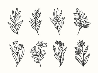 minimalist line art floral