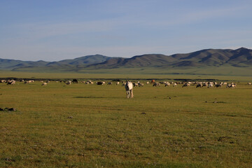 Beautiful landscape of Orkhon Valley, Mongolia