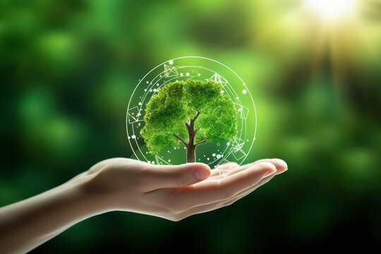 Human hands holding green tree on nature background. Eco friendly concept.