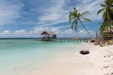 white sand beach with palm tree and a wooden house on the water,  Raja Ampat, West Papua, Indonesia