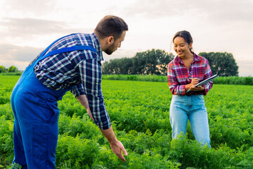 In a carrot field, a Chinese woman and a Caucasian man discuss crops under the setting sun, fostering agricultural collaboration.