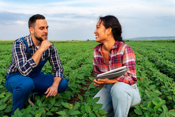 Engrossed in conversation, two business partners meticulously assess the thriving soybean field,...