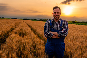 Naklejka na ściany i meble The farmer poses for a photo in the wheat field, proud of his hard work and the bountiful harvest. The golden wheat surrounds him, creating a picturesque backdrop for the photograph.