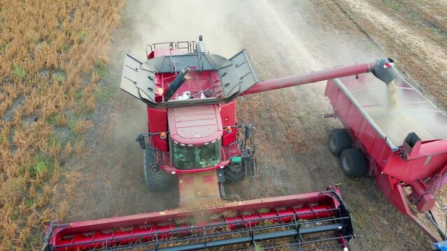 Drone shot of combine harvester revolving reel harvesting soybean crops and transferring freshly harvested soybean to tractor-trailer in cultivated agricultural field