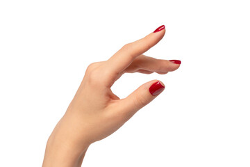 Woman hands with wine red color nails. Red nail polish. Square nail form. - obrazy, fototapety, plakaty